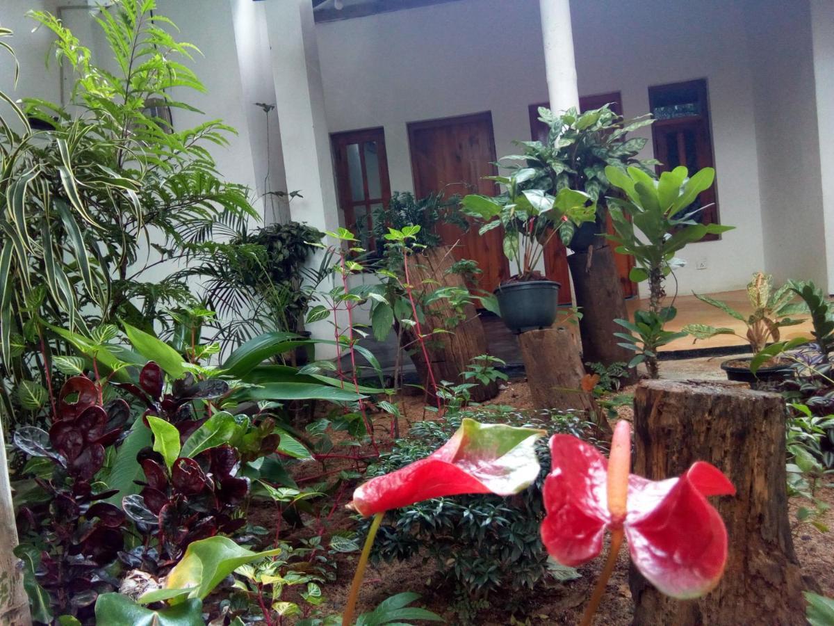 Arugambay Village Arugam Bay Exterior foto